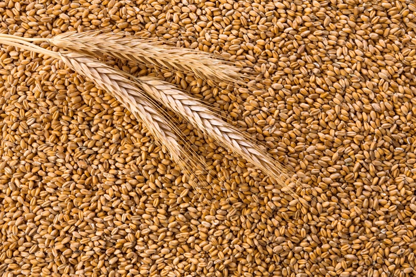 Azerbaijan exempts wheat imports to Azerbaijan for another 3 years