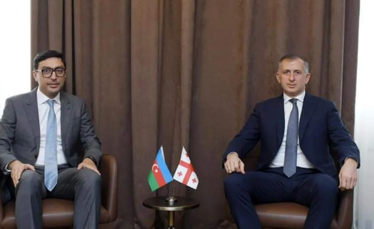 Azərbaycan Gürcüstanla idman sahəsində əməkdaşlığı müzakirə edib