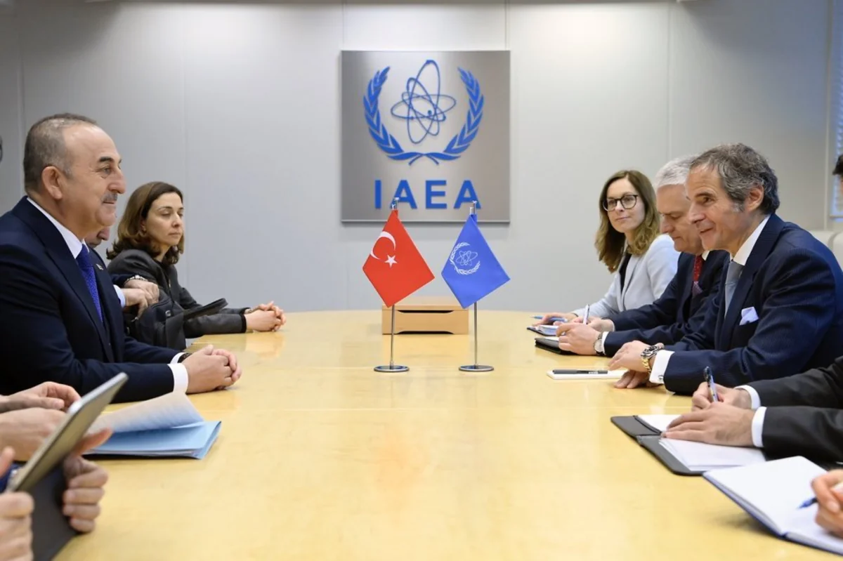 AEBA direktoru Çavuşoğlu ilə Zaporojye AES-dəki durumu müzakirə edib
