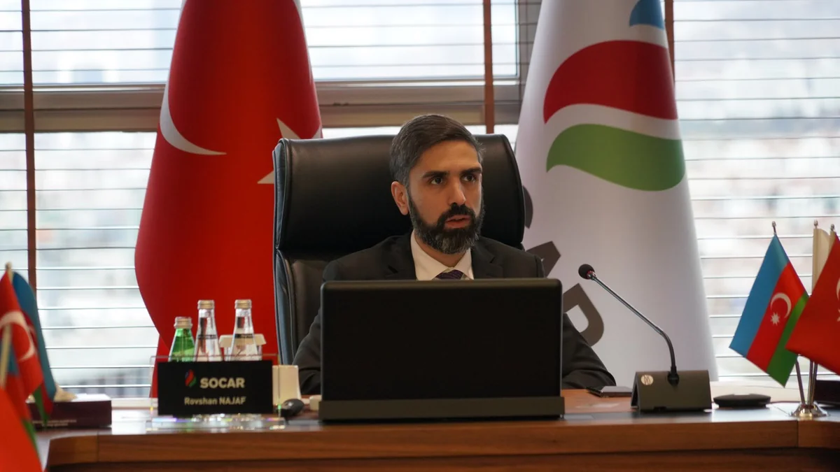 Ровшан Наджаф: Определены будущие цели SOCAR Türkiye