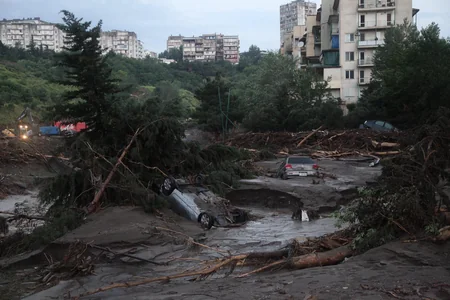 ​Tbilisidə zoopark dağılıb, heyvanlar şəhər küçələrinə axışıb - FOTO