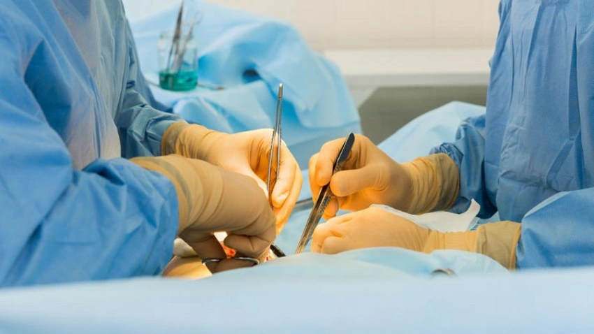 Azərbaycanda ksenotransplantasiya qadağan edilir