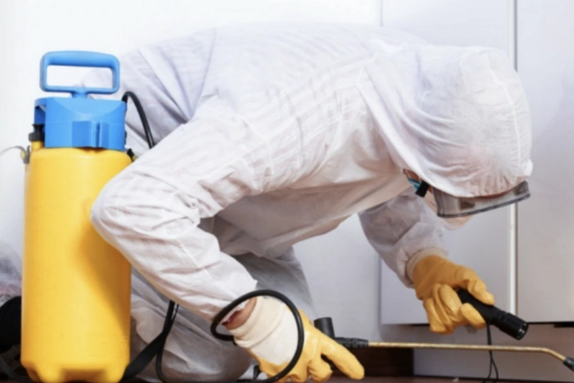 Gəncədə marketdə çalışan gənc qadın zəhərlənib