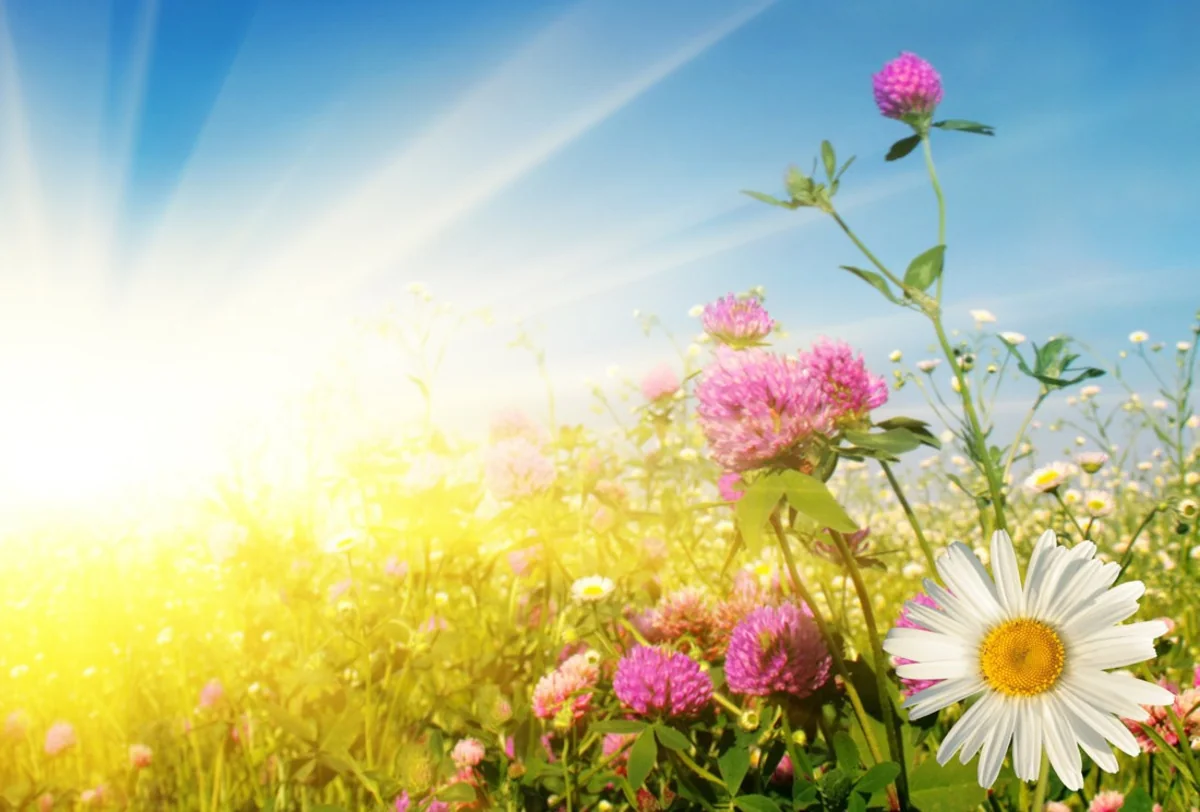 Bakıda və Abşeronda son 120 ildə rekord temperatur göstəricisi qeydə alınıb
