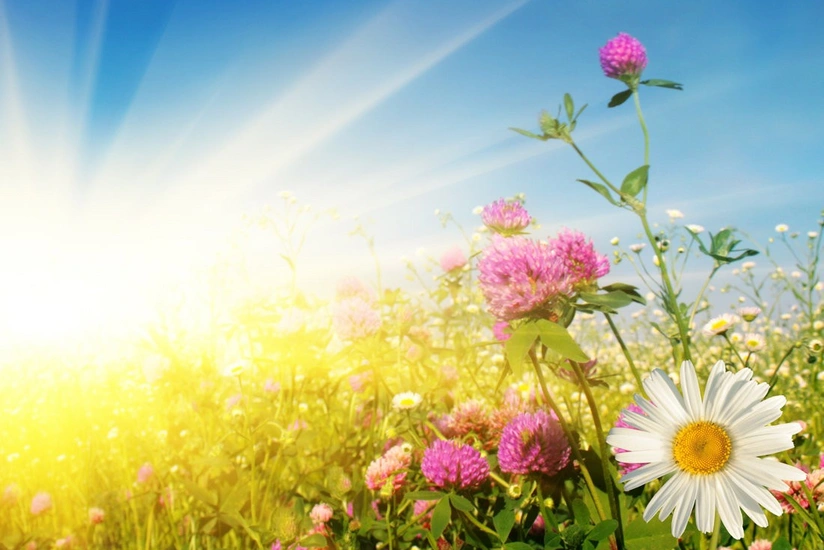 Bakıda və Abşeronda son 120 ildə rekord temperatur göstəricisi qeydə alınıb