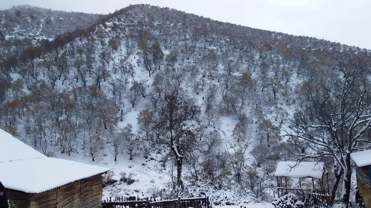 Faktiki hava açıqlanıb