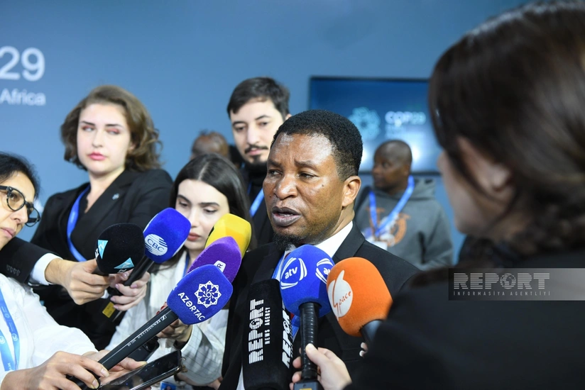 Pan-Afrika İqlim Ədaləti Alyansının icraçı direktoru: İqlim böhranı ilə mübarizədə dəstəyə ehtiyacımız var