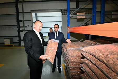 İlham Əliyev və Mehriban Əliyeva “Grand-Agro İnvitro” MMC-nin müəssisəsi ilə tanış olub