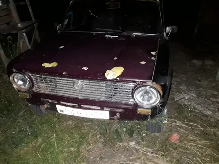 Ağcabədidə ölmüş vəziyyətdə kəsilən heyvan cəmdəyi aşkarlanıb