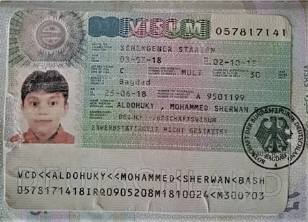 4 əcnəbi vətəndaşın saxta sənədlərlə Azərbaycanı keçmək cəhdinin qarşısı alınıb
