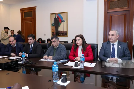 Bakıda Makronizmdən əziyyət çəkən kiçik ada ölkələri ilə Azərbaycan QHT-lərinin dialoqu keçirilib