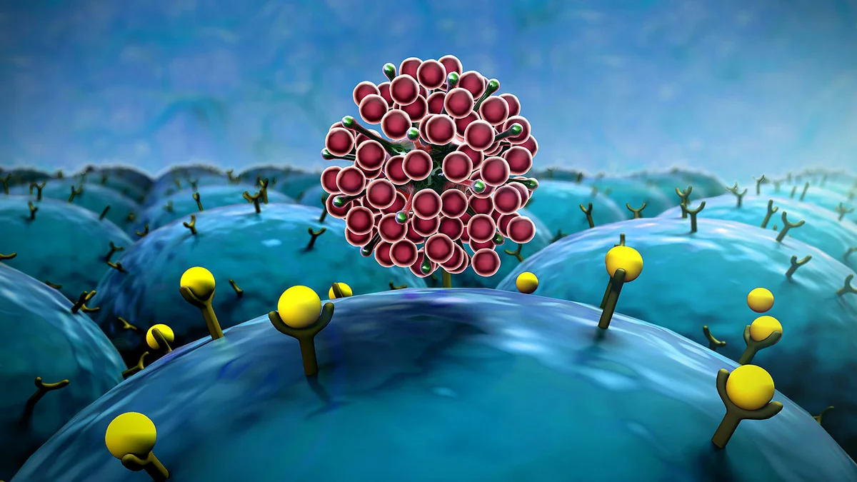 Koronavirusun yeni ştammı ilə bağlı cihaz yaradılıb