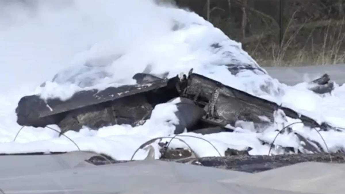 Совладелец компании S7 погибла в авиакатастрофе в Германии - ВИДЕО