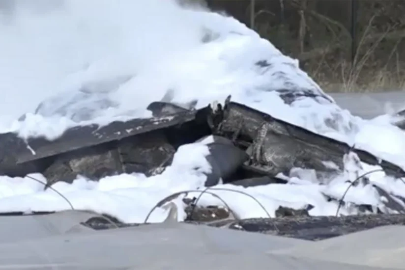 Совладелец компании S7 погибла в авиакатастрофе в Германии - ВИДЕО