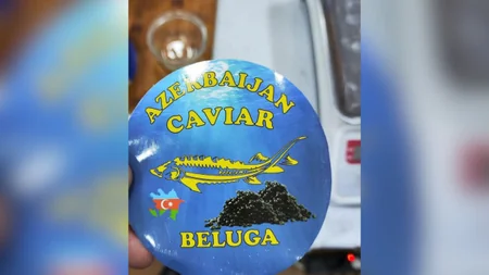 AQTA Çin və Rusiyadan gətirilən kürülərin saxta qablaşdırıldığını aşkarlayıb