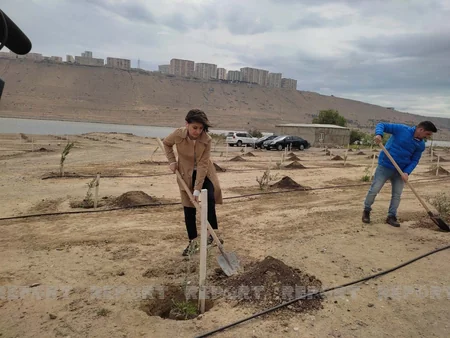 Bakıda Beynəlxalq Bitki Sağlamlığı Günü münasibətilə ağacəkmə aksiyası keçirilib