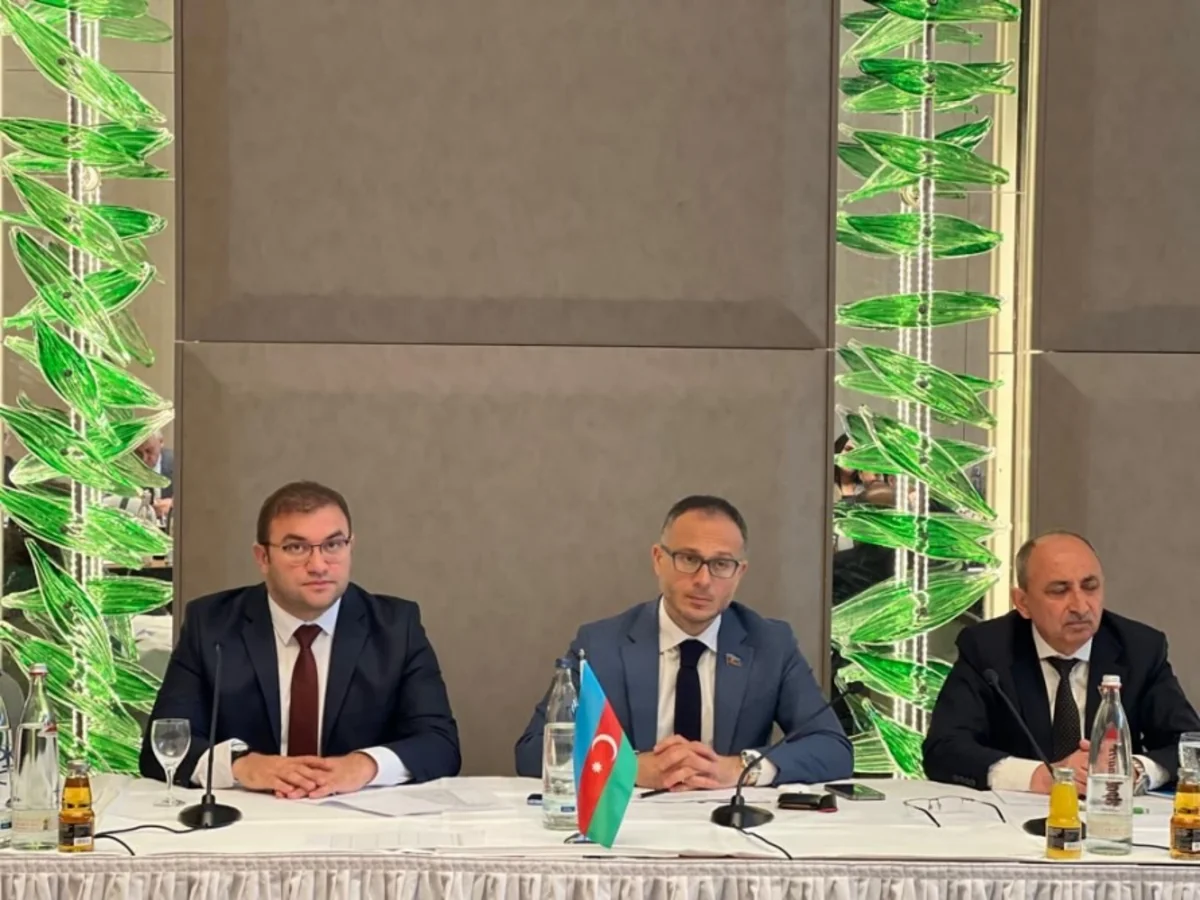 Berlində Qərbi Azərbaycana qayıdış mövzusunda konfrans keçirilib