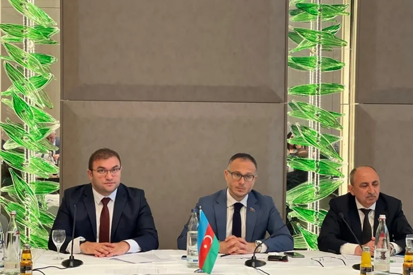 В Берлине прошла конференция на тему возвращения в Западный Азербайджан