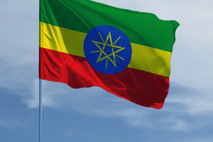 В Эфиопии 11 марта объявили днём траура по погибшим в авиакатастрофе