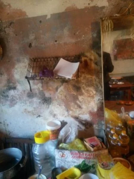 ​Lənkəranda qanunsuz şirniyyat istehsalı aşkarlanıb