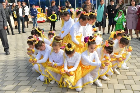 Lənkəranda III Çay, Çəltik, Sitrus Festivalı keçiriləcək - FOTO - VİDEO
