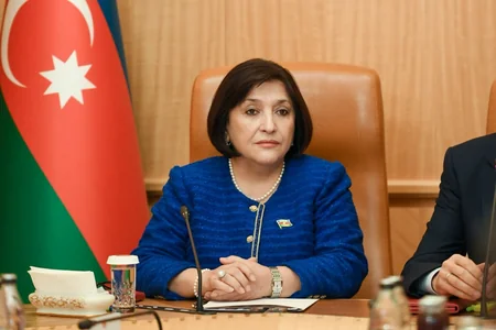Sahibə Qafarova: “Azərbaycan və Türkiyə bütün məsələlərdə bir-birini dəstəkləyir”