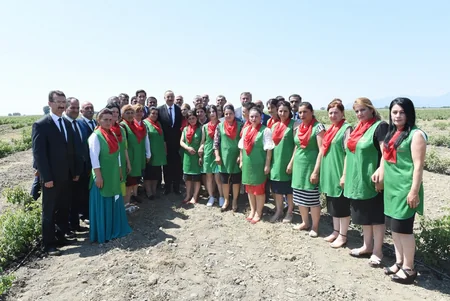 President Ilham Aliyev viewed rose oil plant of AzRose LLC
