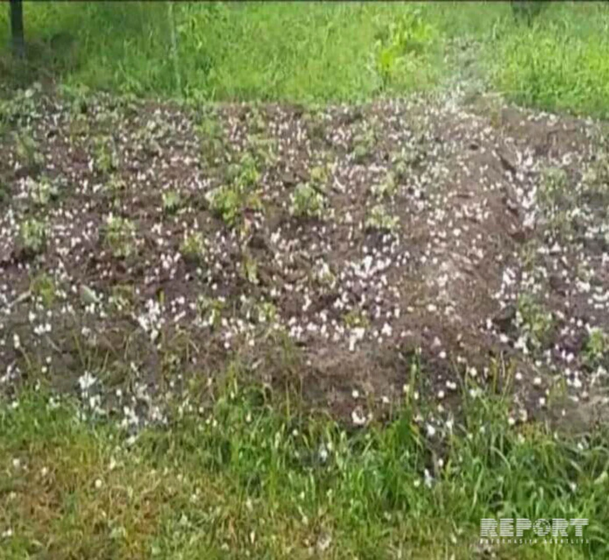 Dolu Goranboyun kəndlərinə ciddi ziyan vurub - FOTO