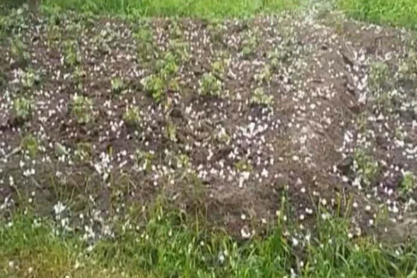 Dolu Goranboyun kəndlərinə ciddi ziyan vurub - FOTO