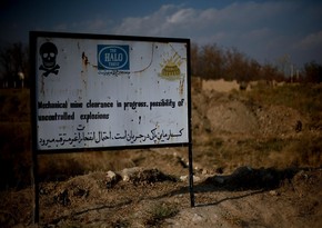10 HALO Trust workers killed in Afghanistan