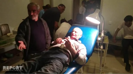 На юге Азербайджана бешеные собаки покусали 10 человек - ФОТО - ВИДЕО - ОБНОВЛЕНО