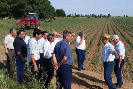 Pambıqçılıqda məhsuldarlığın artırılması ilə bağlı təlimlər keçirilir