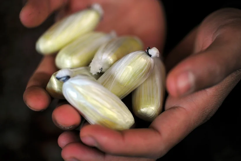 Bərdə sakinlərindən “patı” və heroin götürülüb