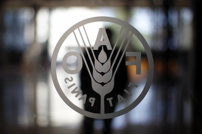 FAO: Shortages in fertilizers will likely persist into 2023