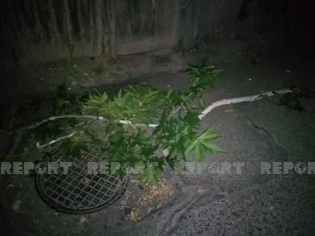 Bakıda oğurluğa cəhd edən kişi özünü 5-ci mərtəbədən yerə atıb