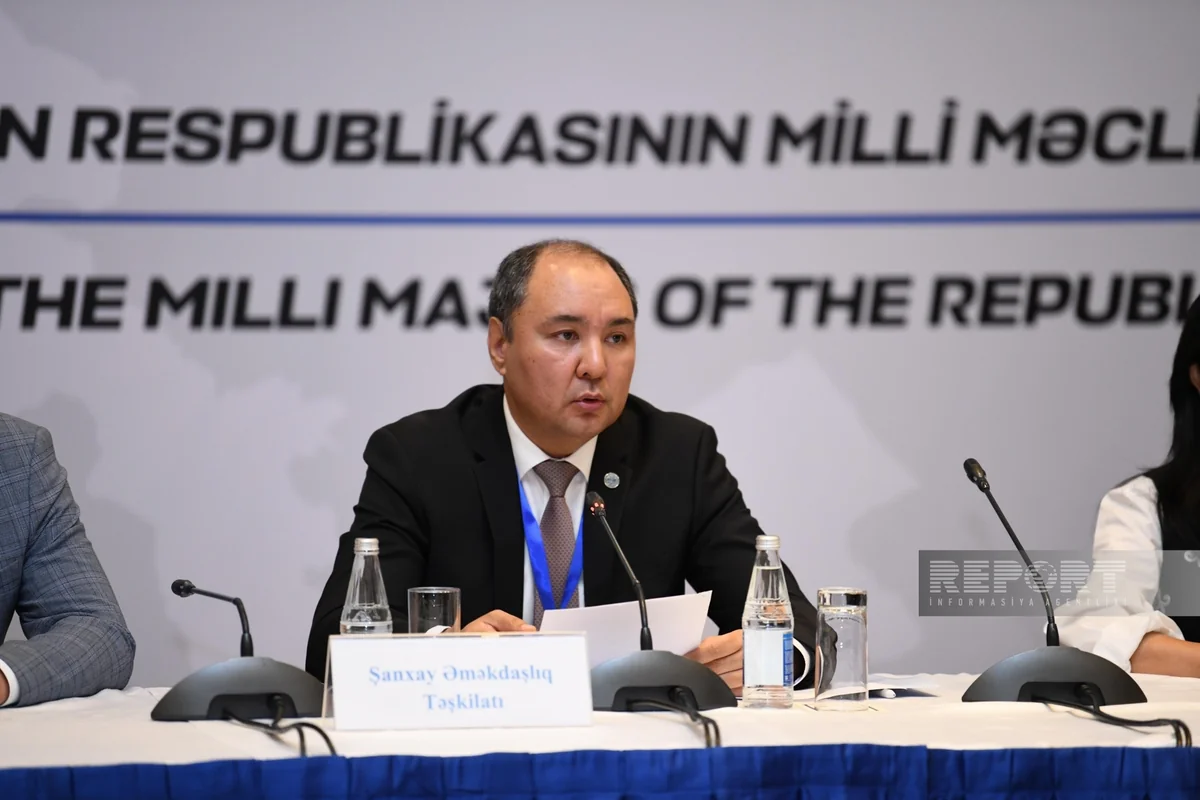 SCO mission chief hails Azerbaijan's transparent and credible elections
