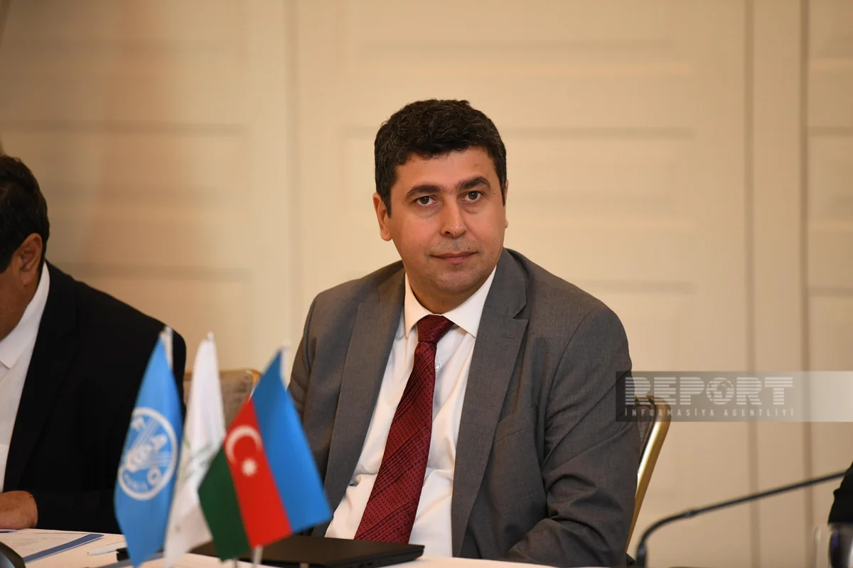 Azerbaijan's glaciers shrink by 18% in just 7 years