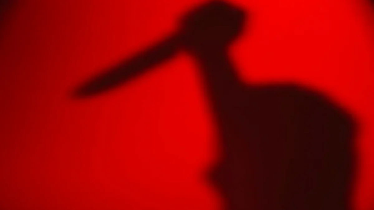 Qaradağda 27 yaşlı gənc qətlə yetirilib, şübhəli şəxs saxlanılıb