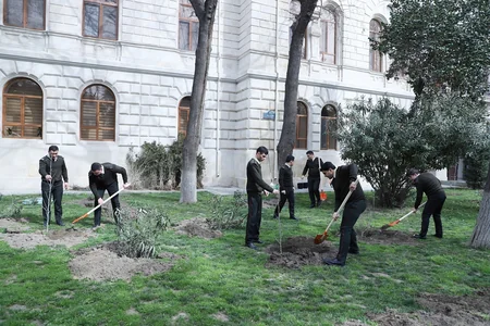 Dövlət Xidməti növbəti dəfə ağacəkmə aksiyası keçirdi