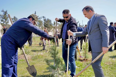 Heydər Əliyevin 100 illik yubileyi ilə bağlı Qala Qoruğunda ağacəkmə aksiyası keçirilib