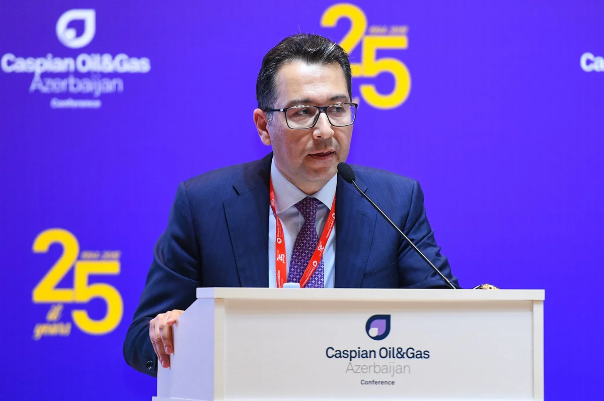 Афган Исаев: ЮГК работает над концепцией зеленых трубопроводов