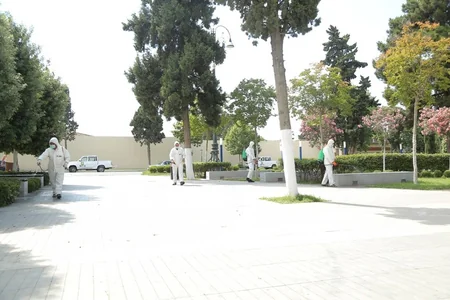 Gəncədə növbəti genişmiqyaslı dezinfeksiya işləri aparılıb
