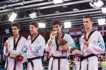 Azərbaycan Avropa Oyunlarında 11-ci qızıl medalını qazanıb - FOTO - YENİLƏNİB