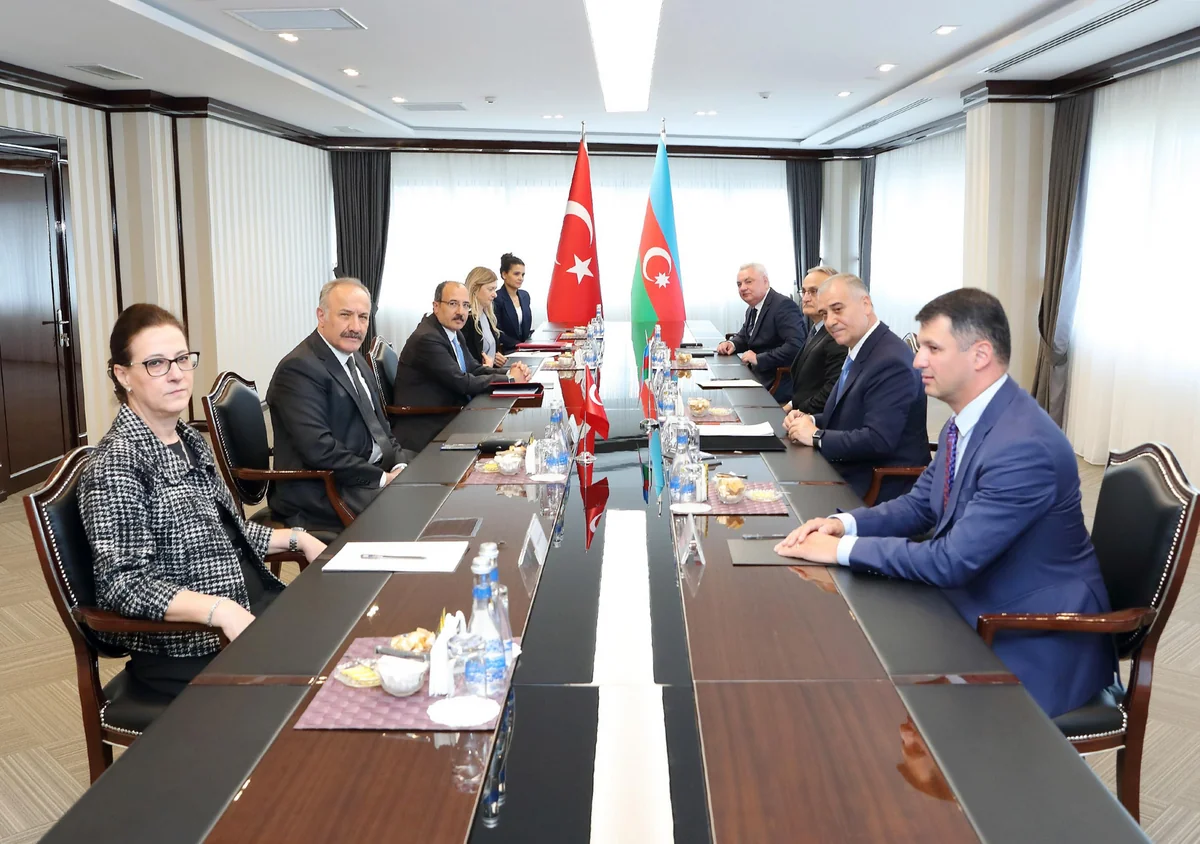 DTX rəisi Türkiyə Milli Təhlükəsizlik Şurasının Baş katibi ilə görüşüb