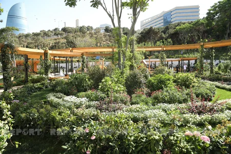 Bakıda salınan yeni parkdan VİDEOREPORTAJ