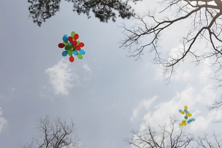 Ukraynada akademik Zərifə Əliyevanın xatirəsi anılıb