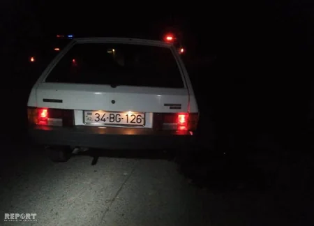 В Гахе лошадь стала причиной аварии, пострадала женщина - ФОТО