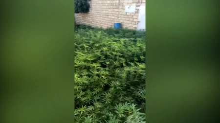 Polis əməliyyatlar keçirdi, saxlanılanlar var - VİDEO