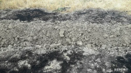 Kürdəmirdə taxıl zəmisində baş verən yanğın söndürülüb - FOTO - VİDEO - YENİLƏNİB-2