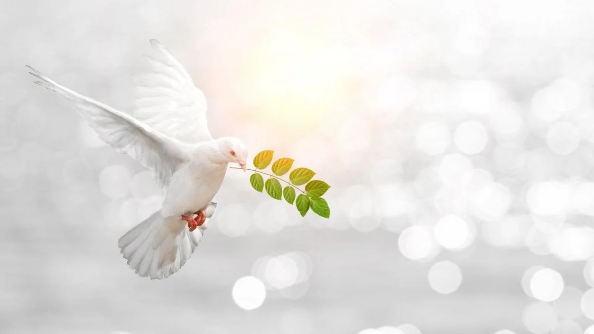 German Ambassador: Today peace is more urgent than ever